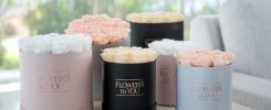 Cinco dicas preciosas de como decorar a casa com nossos arranjos