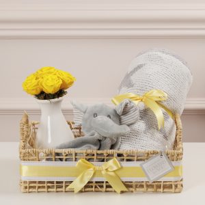 Kit Maternidade Elefante