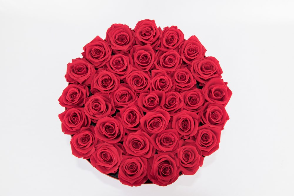 Flower Box XL - Imagem 18