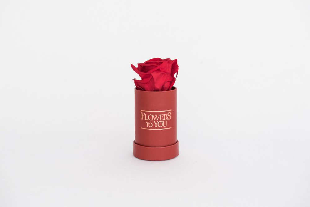 Flower Box Mini - Imagem 17