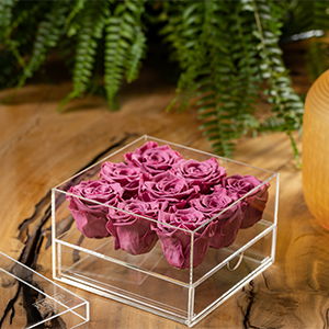 Crystal Box Enea