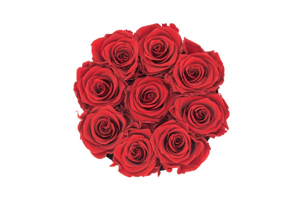 Flower Box P - Imagem 5