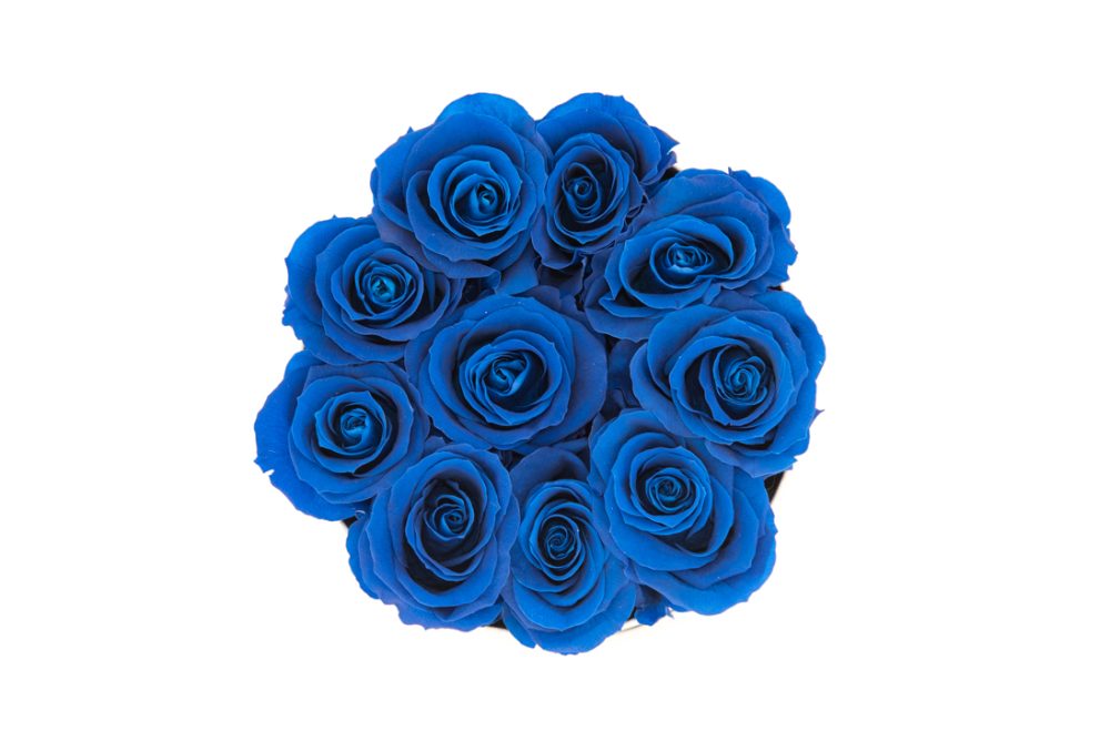 Flower Box P - Imagem 7