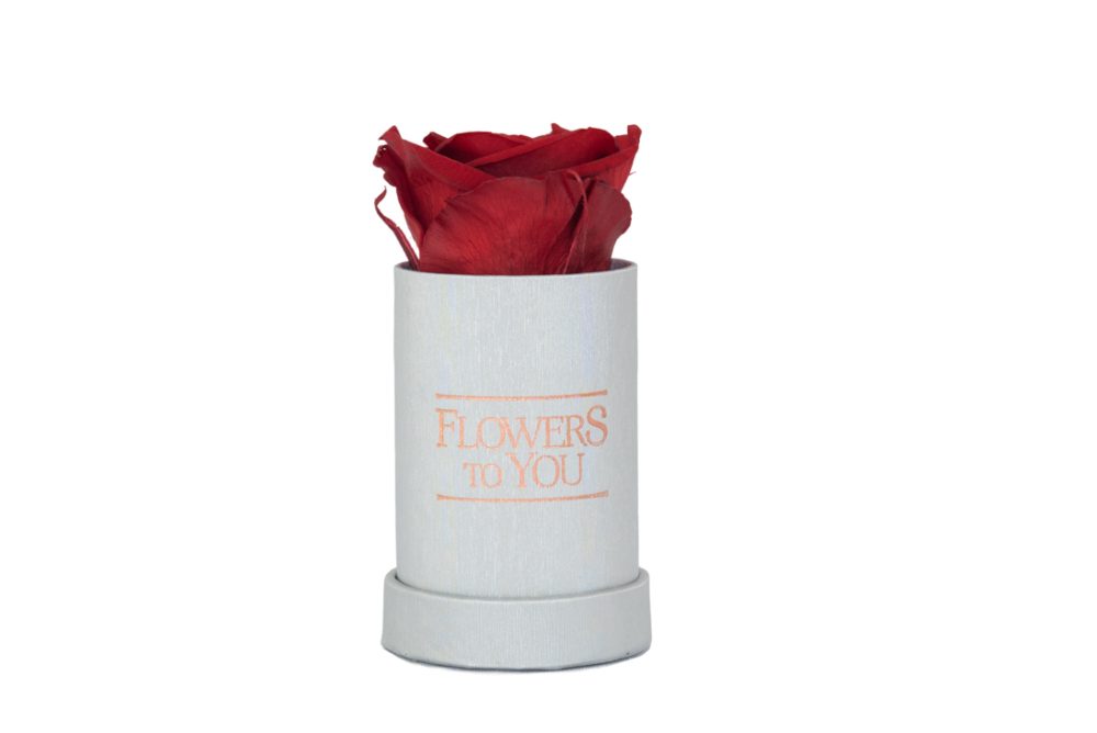 Flower Box Mini - Imagem 4