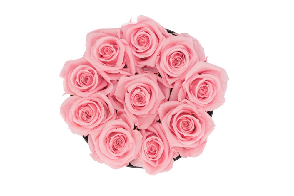 Flower Box P - Imagem 9