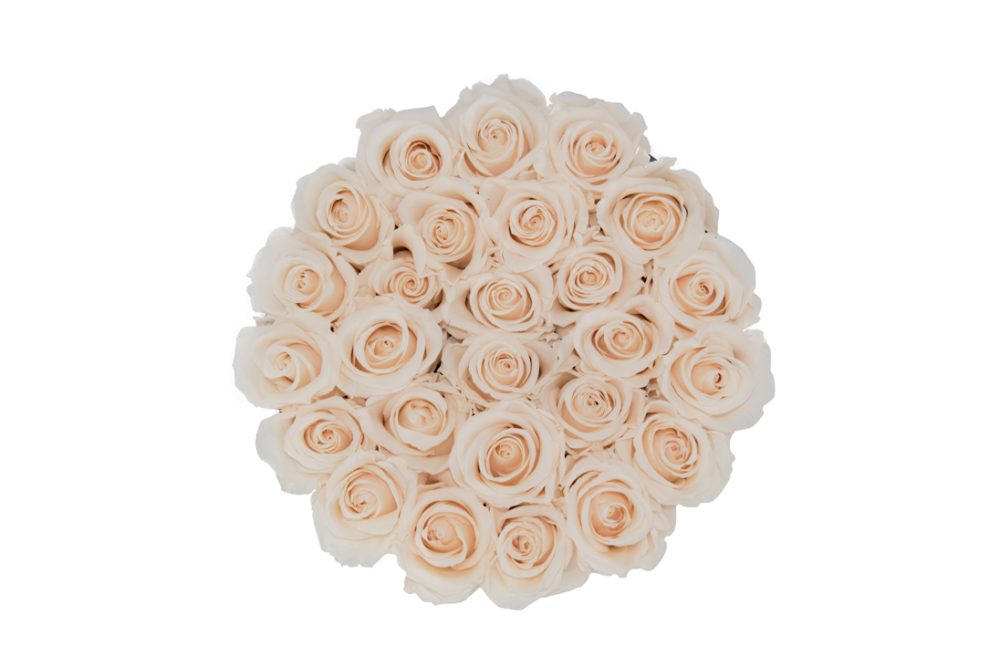 Flower Box G - Imagem 3