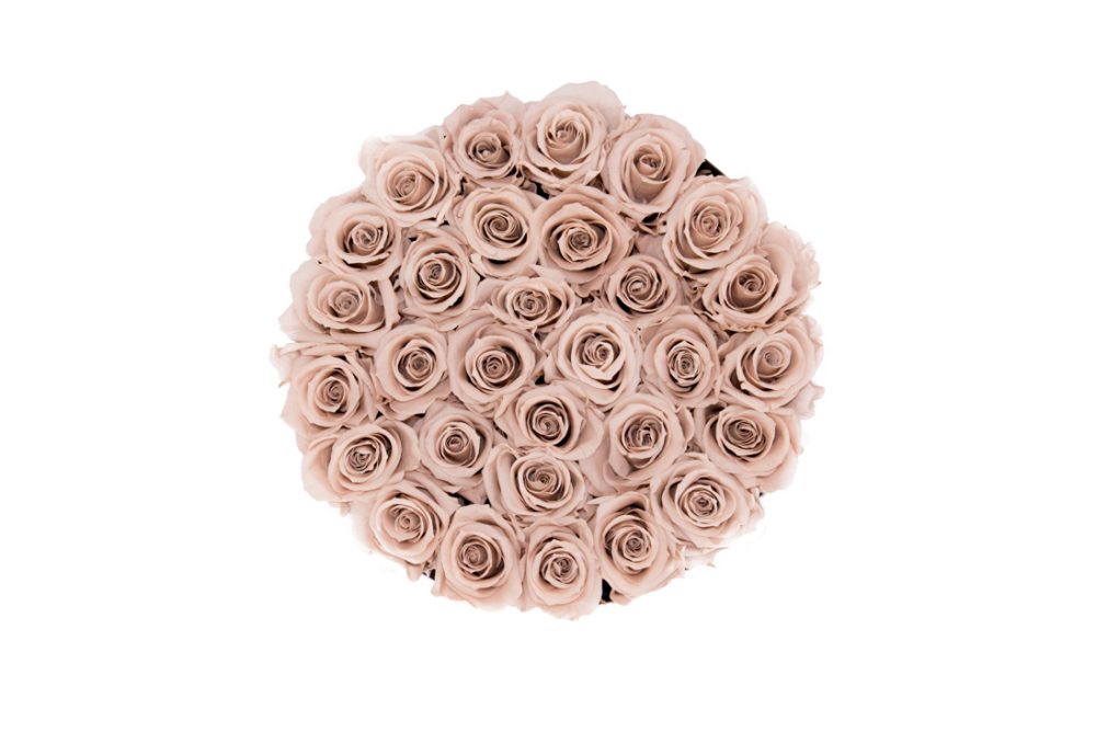 Flower Box G - Imagem 4