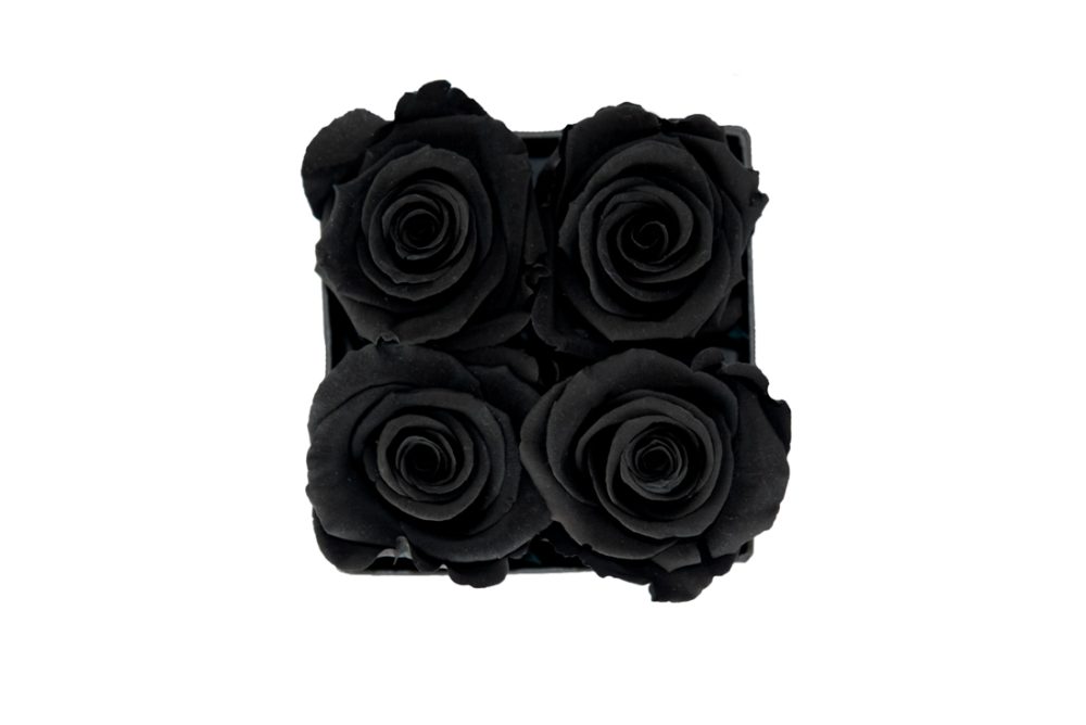 Flower Box Petite - Imagem 11