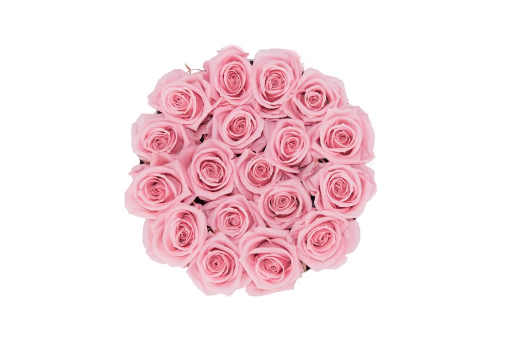 Flower Box G - Imagem 7