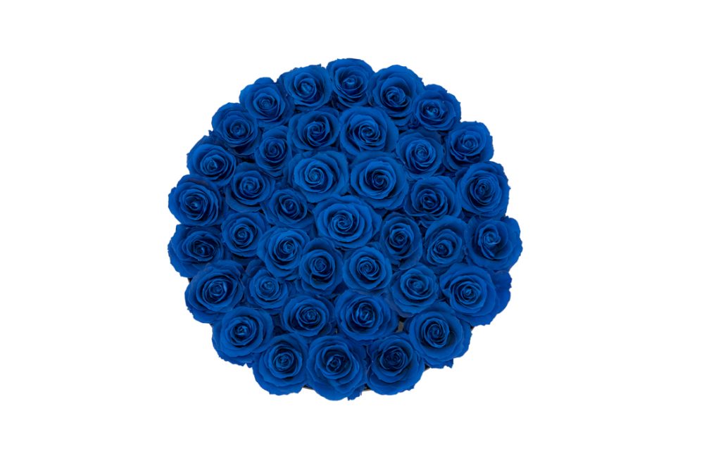 Flower Box XL - Imagem 4