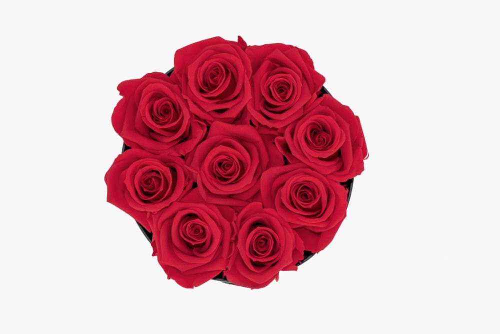 Flower Box P - Imagem 3
