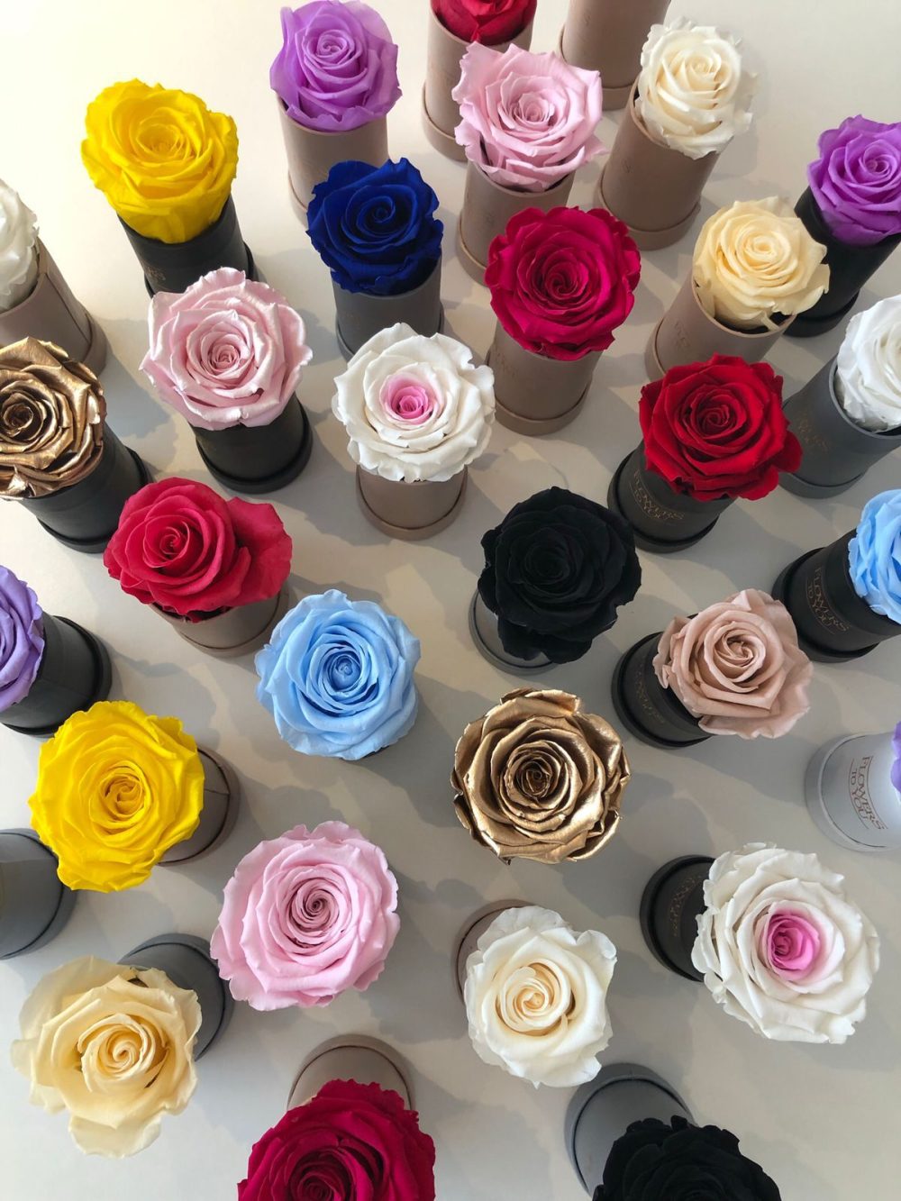 Flower Box Mini - Imagem 15