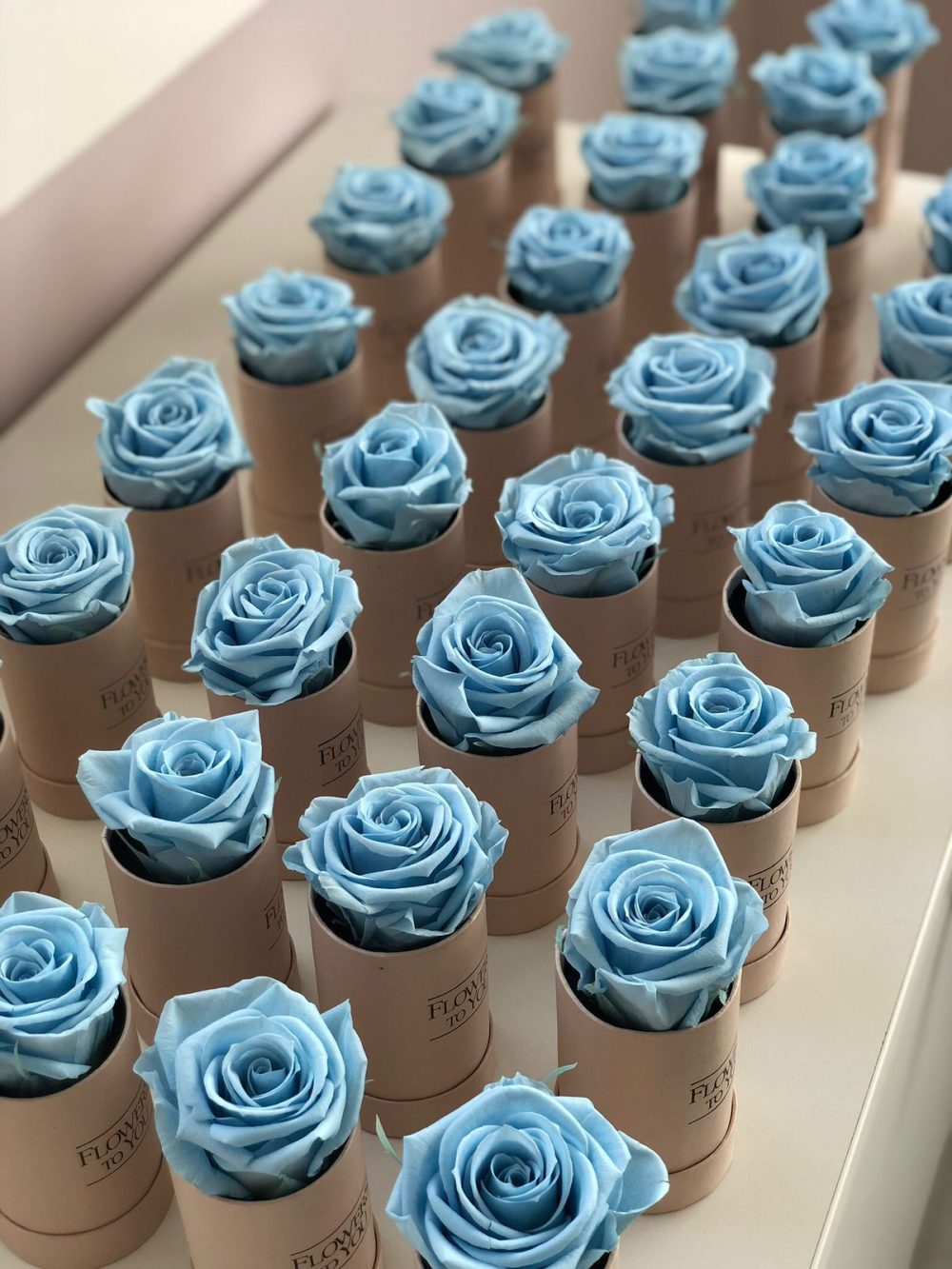 Flower Box Mini - Imagem 11
