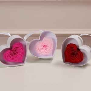 My Heart Is Yours